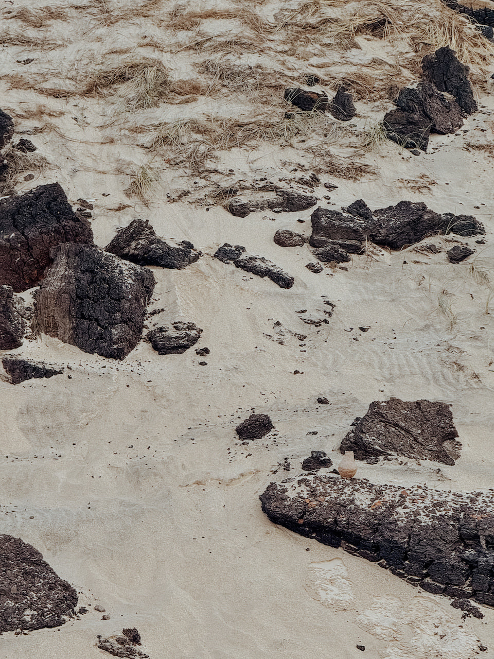 This is where I leave you