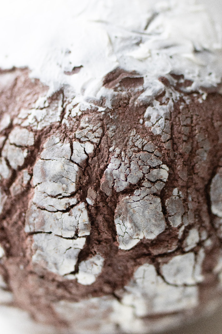 The texture edit - Winter 2025