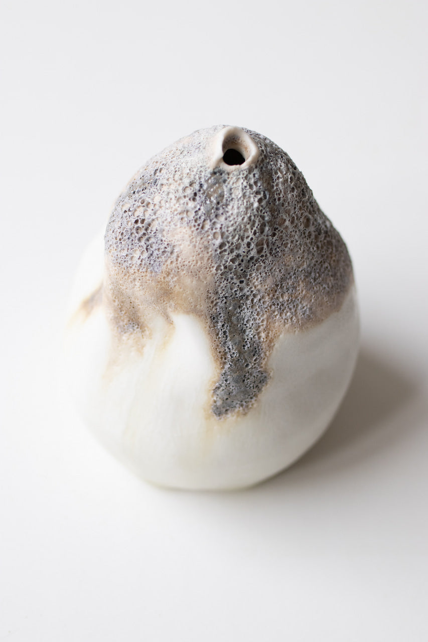 Albiorix - Vase XXVI