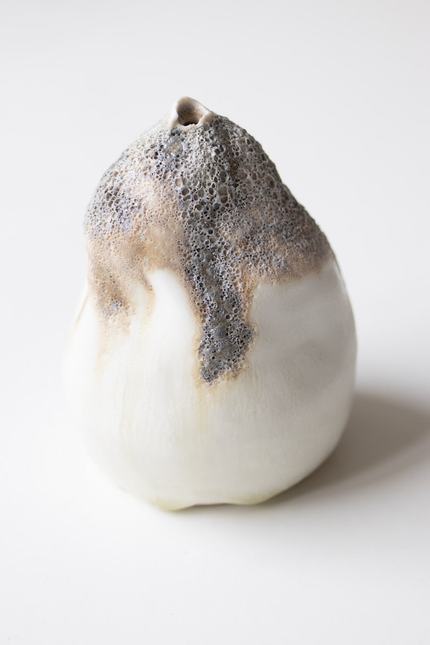 Albiorix - Vase XXVI