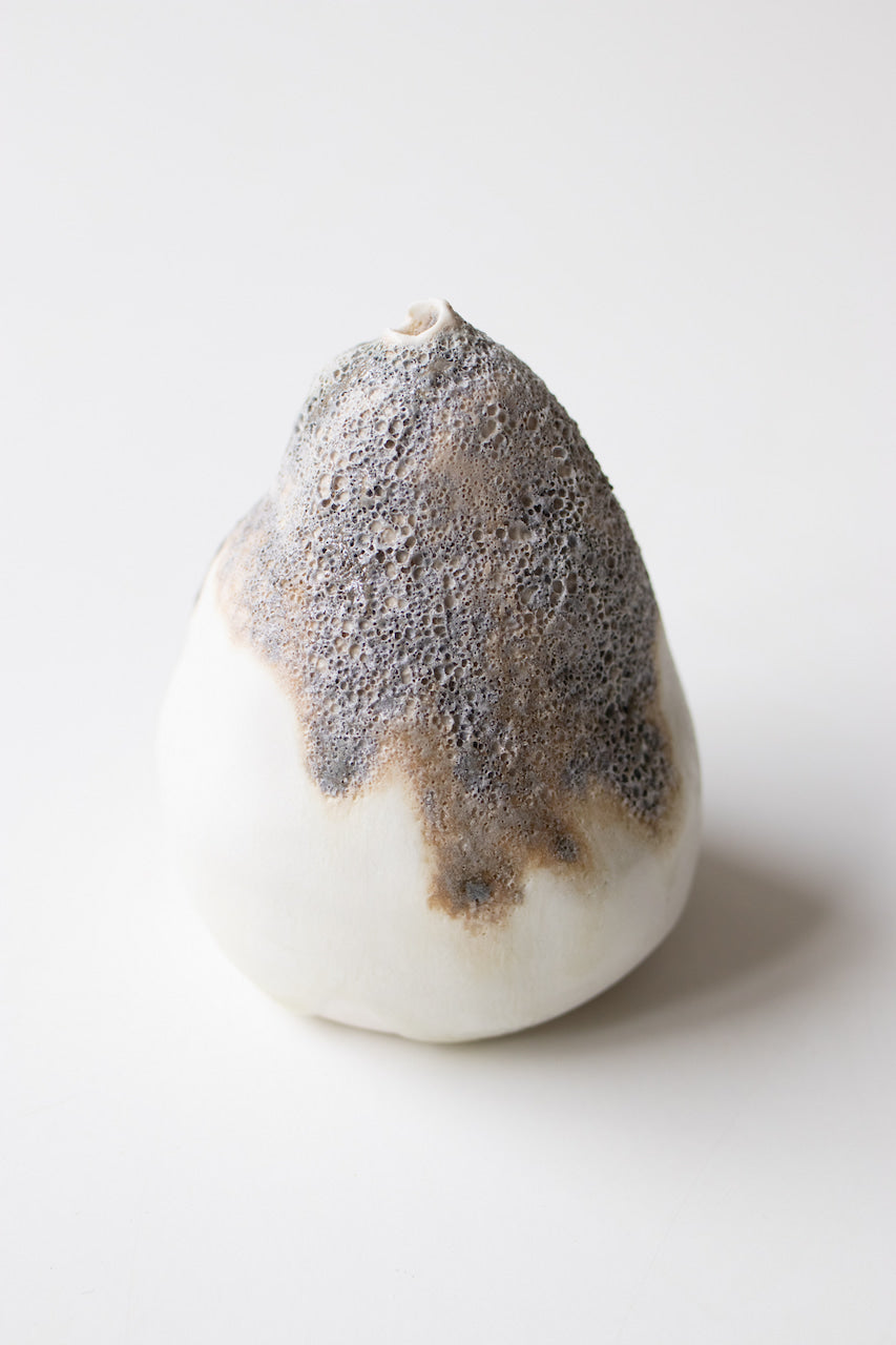 Albiorix - Vase XXVI