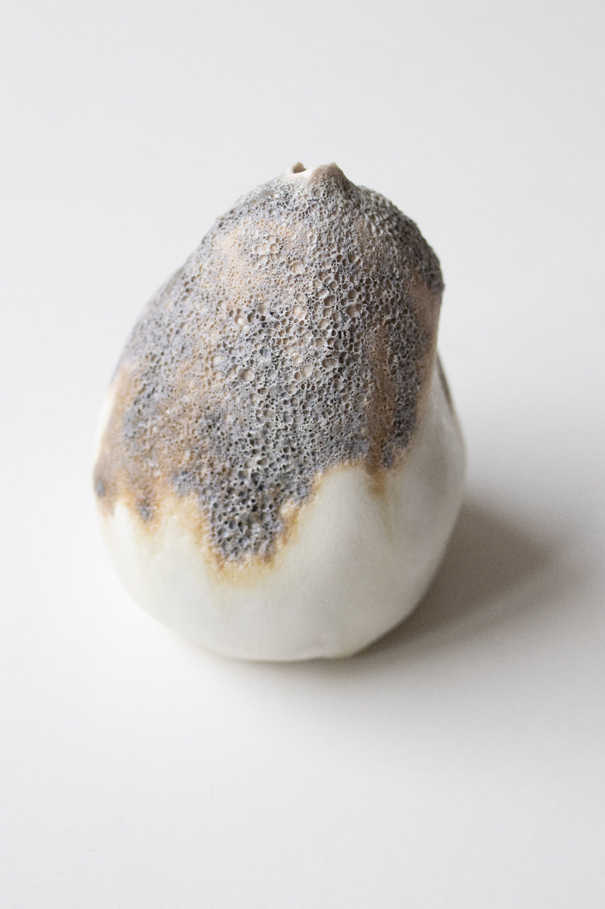 Albiorix - Vase XXVI