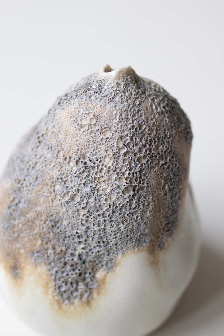 Albiorix - Vase XXVI