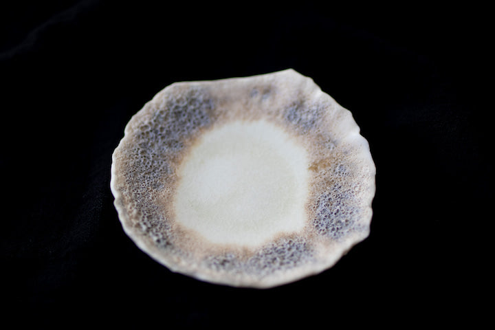 Whitney - Ringschale aus Porzellan