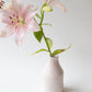Erbium pink porcelain vase